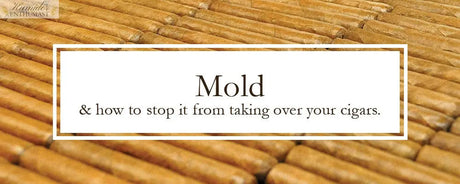 How to deal with mold taking over your humidor and cigars. - Humidor Enthusiast