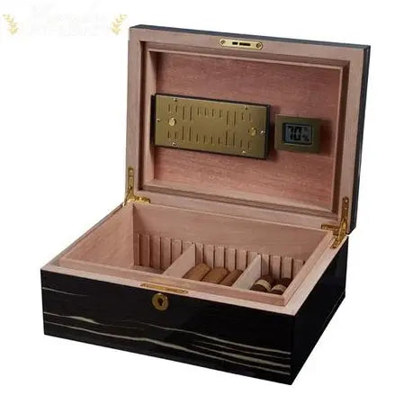 Visol Remo Polished Ashburl Wood Locking Desktop Cigar Humidor - Humidor Enthusiast